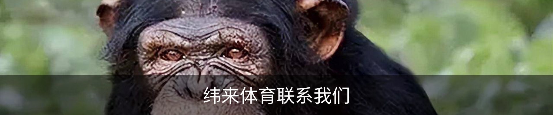 内页banner